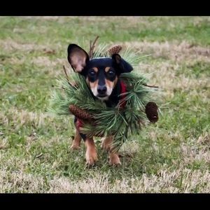 Meet your Posher, Maddi